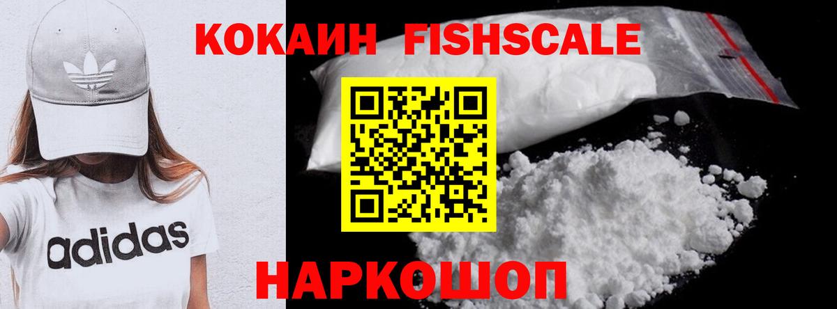 Гудермес  COCAIN FishScale  где можно купить наркотик  Вход с VPN 