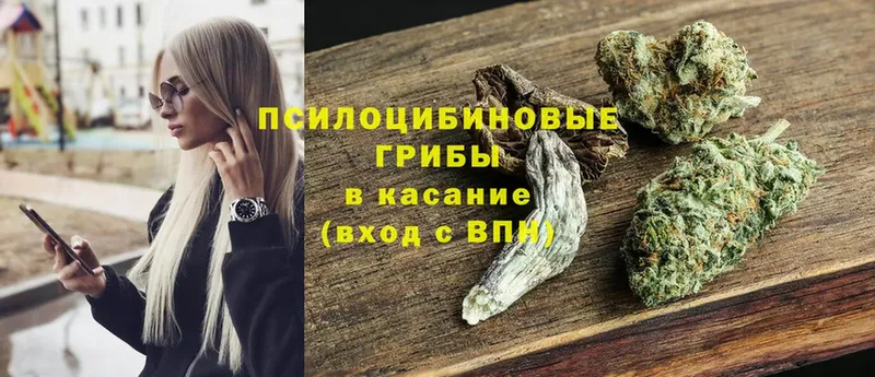 Псилоцибиновые грибы Magic Shrooms  как найти закладки  Гудермес 