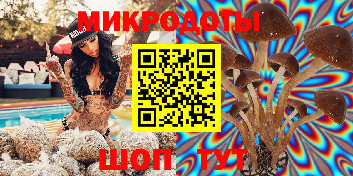 Галлюциногенные грибы мицелий  Галлюциногенные грибы Psilocybe  Вход с VPN  Гудермес 
